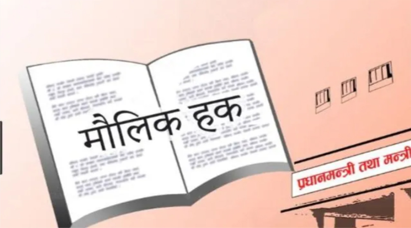 संविधान असफल हुनमा मौलिक हक